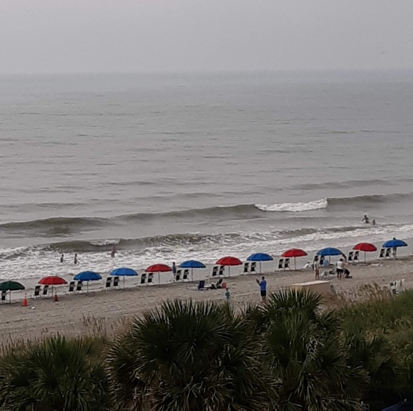 Meet your Posher, Alyssa - Picture 1 of 1